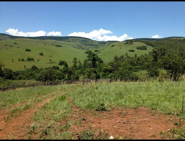 1,845HA FARM FOR SALE IN NGODWANA
